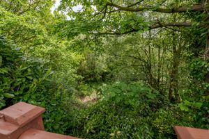 Photo 20- click for photo gallery